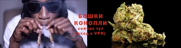 амф Саяногорск